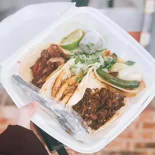 a hand holding a taco