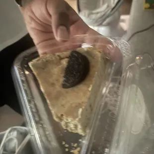 Oreo cheesecake
