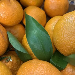 Tangerine