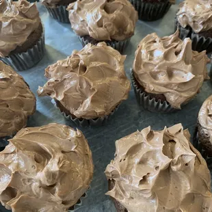 Chocolate cupcakes