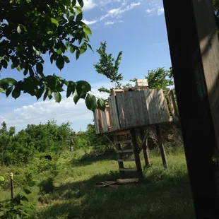 Hiding out to capture the tower...