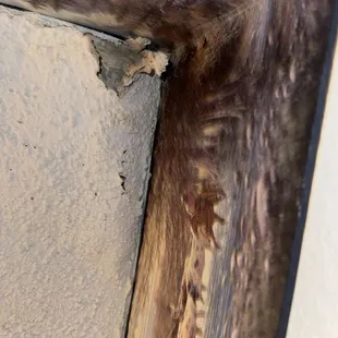 Mold, and ceiling