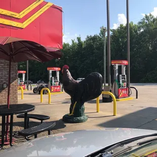 a chicken statue in the parking lot