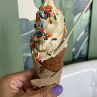 a hand holding an ice cream cone with sprinkles