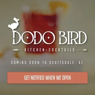 Taken from website. IG: dodobirdaz