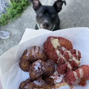 8 Minis for $7: Lemon Blueberry and PBJ