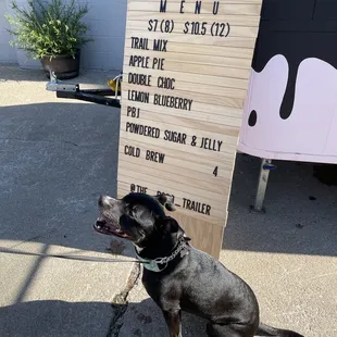 Today's offerings!  (6/5/2021)