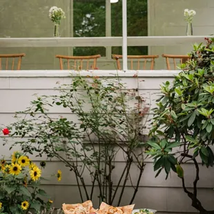 sushi and sashimi, interior