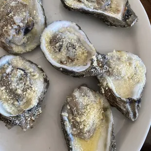 Oysters