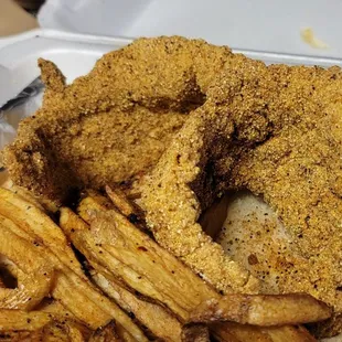 2 pc fried catfish &amp; fries