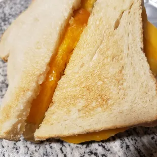 Grilled cheeze! (incredible)