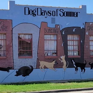 Dog Days Of Sommer