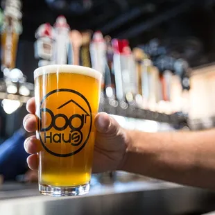 CRAFT BEERS - a rotating selection of craft beers from Colorado