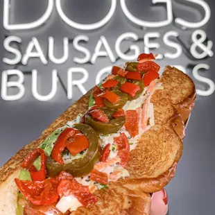 a person holding a hot dog