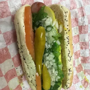 Chicago Style Hot Dog