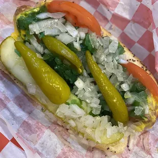 Chicago style Hot Dog