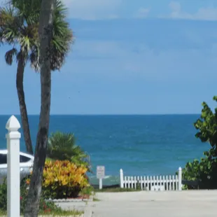 Our view from the Dog Hut!