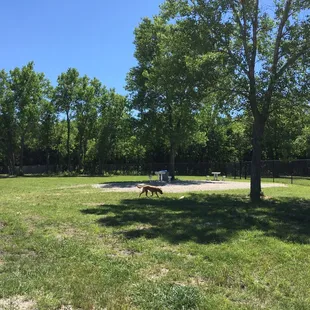 BEAUTIFUL park with great landscapes. Large boulders, large tree trunks, good amount of shade and picnic area.