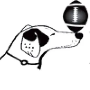 the logo for the dog run saloon