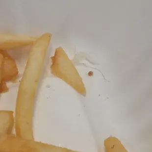 a plate of french fries with a bite taken out of it