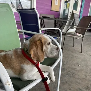 Chilling on the front porch