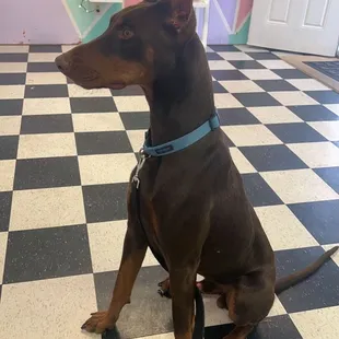 Lucas after his bath :)