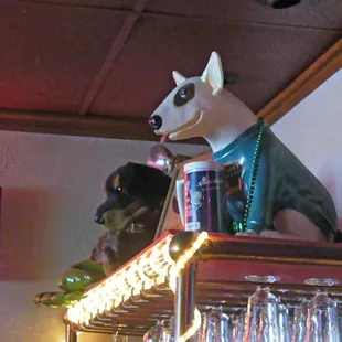 a dog wearing a sweater