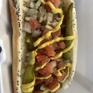 Chicago Dog