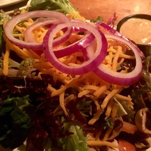 &quot;Small&quot; Pub Salad..... Really fresh ingredients :)