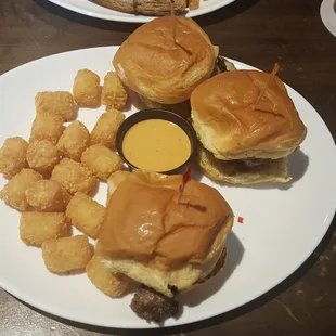 Slidersand tots