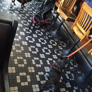 You know you're in the Dogpatch when...