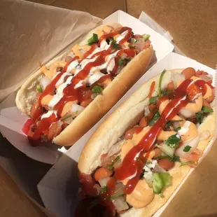 Two Sonoran Dogs