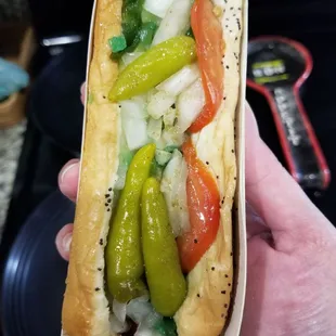 Chicago dog