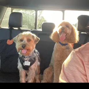 My two  thank you Valerie