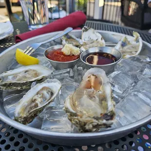Fresh oysters