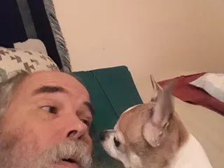 Town & Country Veterinary Clinic