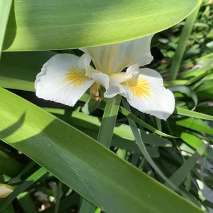 interior, sushi and sashimi
