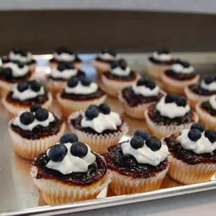 Mini blueberry cheesecakes