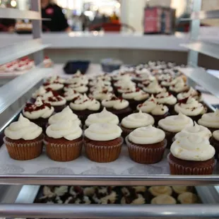 Italian cream cupcakes