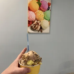a hand holding a bowl of ice cream