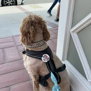 His favorite is banana