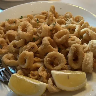 Fried Calamari