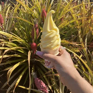 Pineapple ice cream
