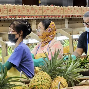 Hand selection and packing