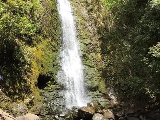 Take a Hike Oahu