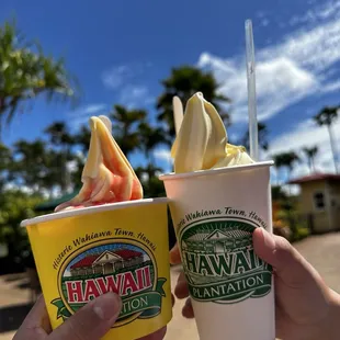 Strawberry dole whip and the float