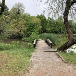 Par of the trail around the lake