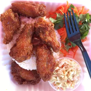 Chicken wings were delicious!