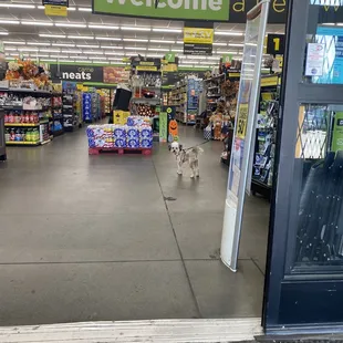Welcome @DollarGeneral
