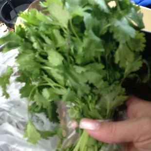 Very dry old produce